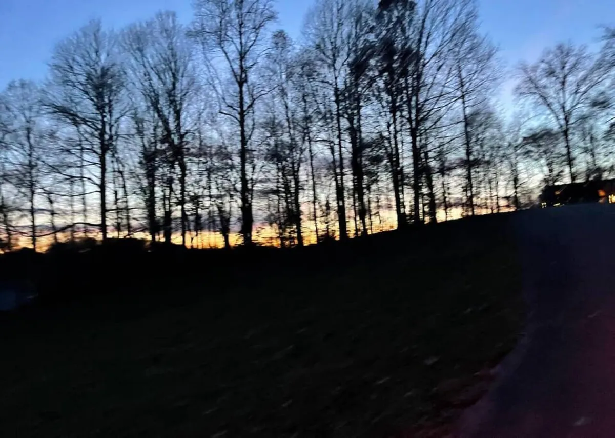 A serene scene with silhouetted trees and a distant building against a glowing horizon at dusk. The tranquil setting evokes the peacefulness of evening outdoor moments, such as unwinding after exploration or sharing stories around a fire.